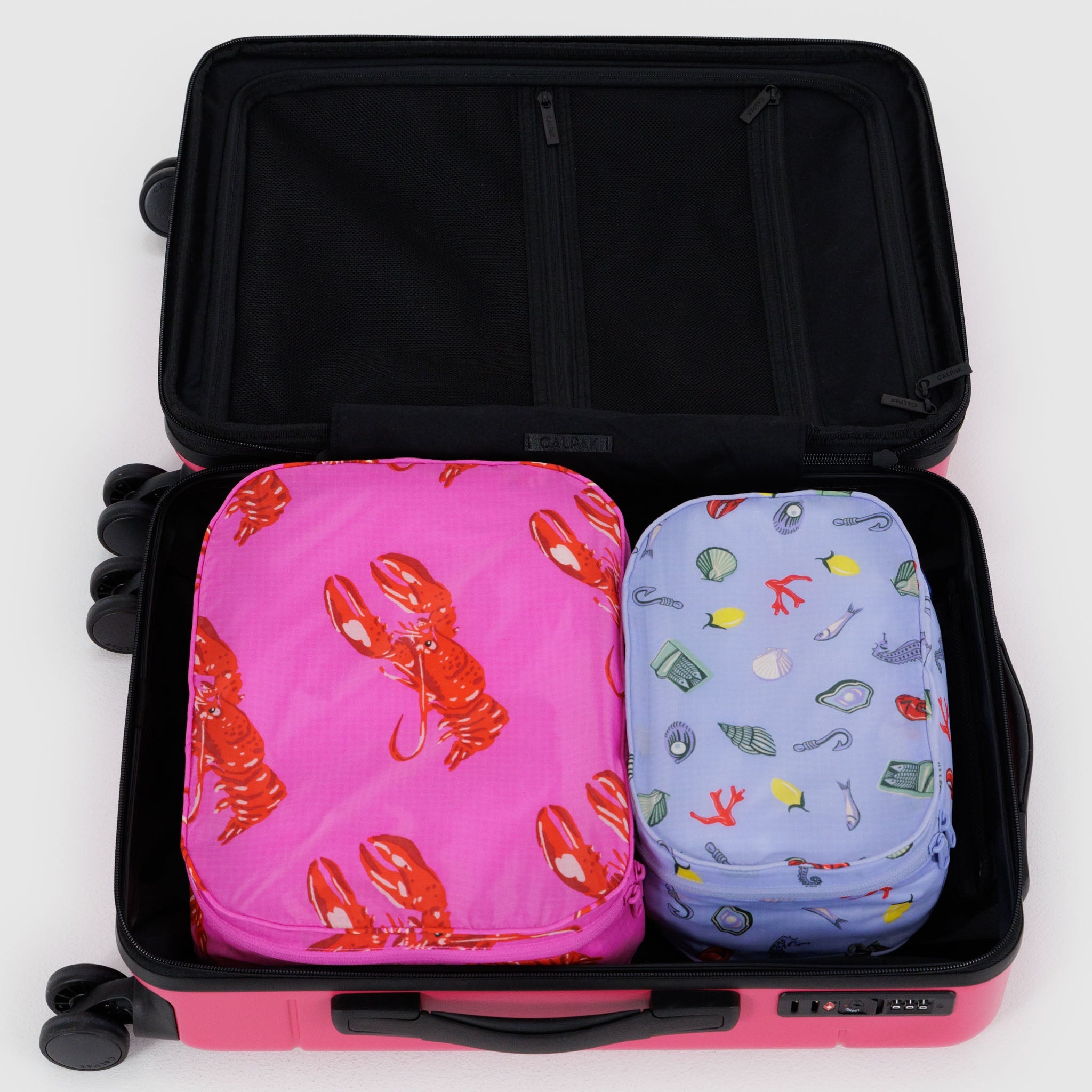 BAGGU Packing Cube Set (Sea creatures)