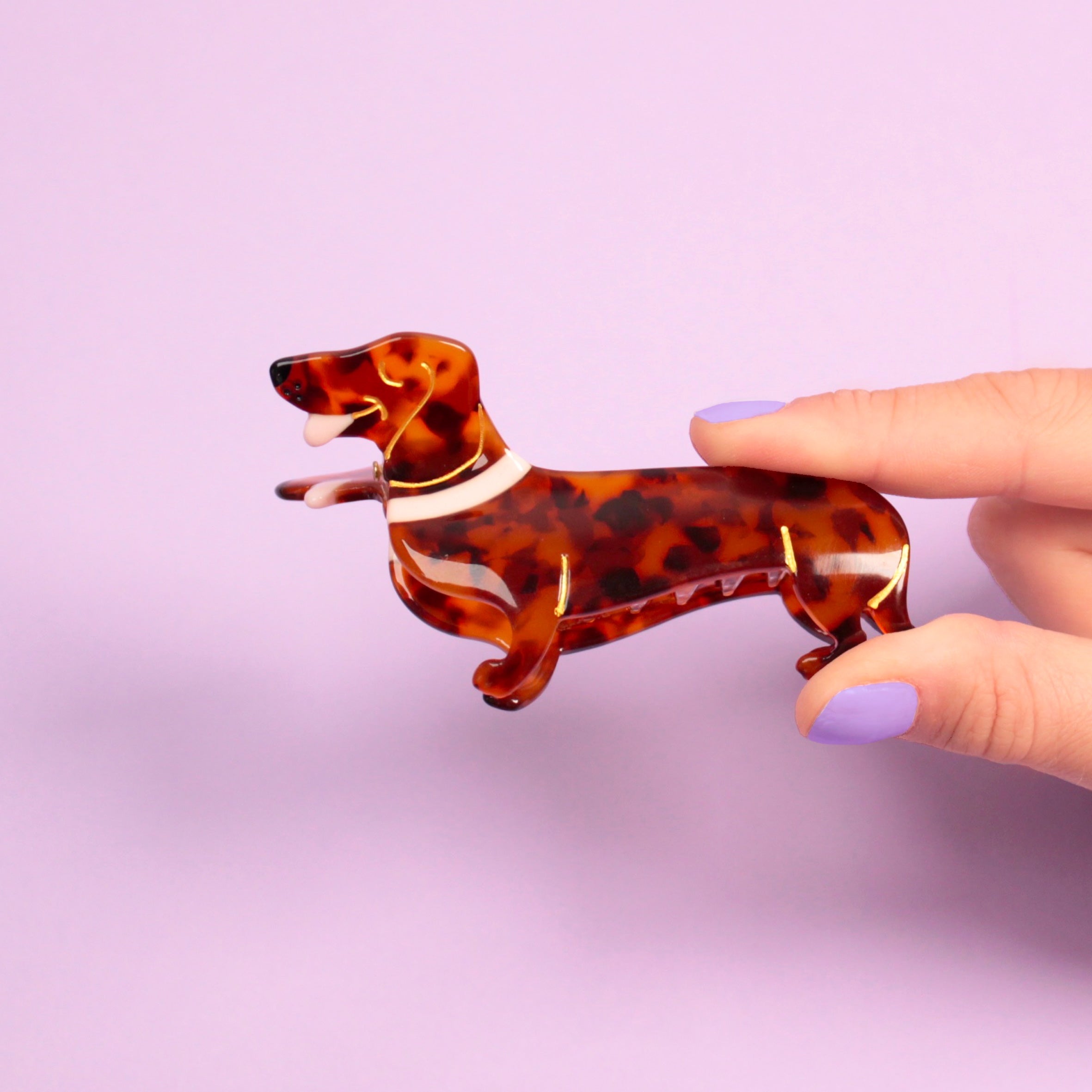 Hair Claw (Dachshund)