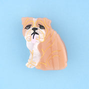 Hair Claw (English Bulldog)