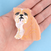 Hair Claw (English Bulldog)