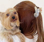 Hair Claw (Yorkshire)