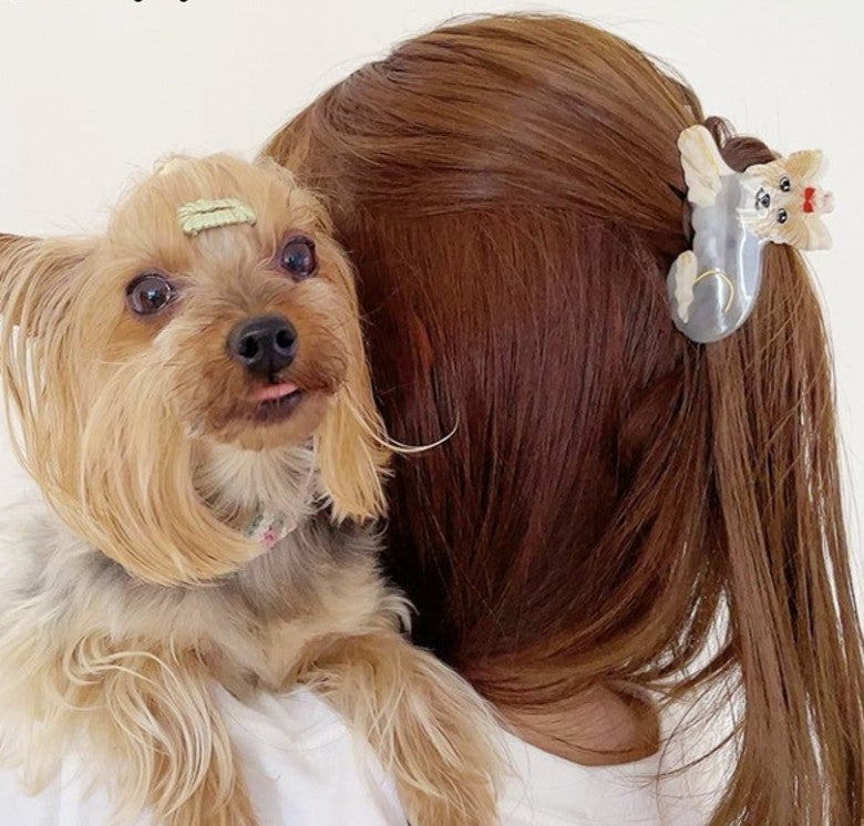 Hair Claw (Yorkshire)