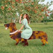 Coucou Suzette French Barrette (Dachshund)