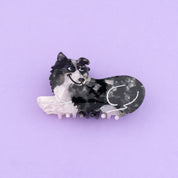 Hair Claw (Border Collie)